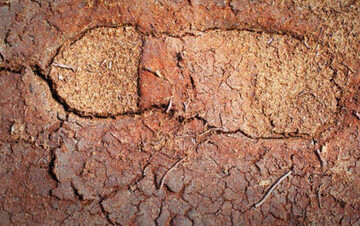 Eine Klimabilanz kann bei der Beurteilung ntzen, wie nachhaltig ein Gartenbaubetrieb arbeitet.