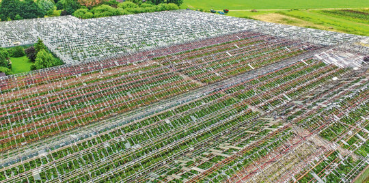 Das Hageltief Wolfgang ging am 23. Juni 2016 als das bisher grte Schadenereignis in die Geschichte der Gartenbau- Versicherung VVaG ein.