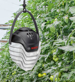 Mit der künstlichen Intelligenz Plantec von Bosch soll der Anbau im Gewächshaus optimiert werden.