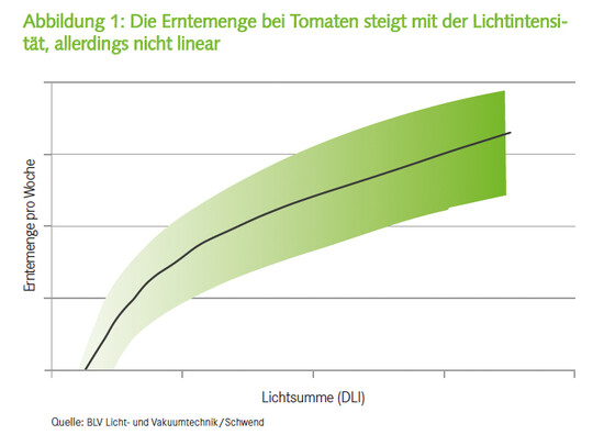 Die Erntemenge bei Tomaten steigt mit der Lichtintensitt, allerdings nicht linear