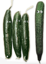 Die folierte Gurke ist mittlerweile in vielen Supermärkten Geschichte.