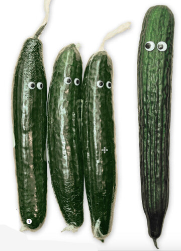 Die folierte Gurke ist mittlerweile in vielen Supermrkten Geschichte.