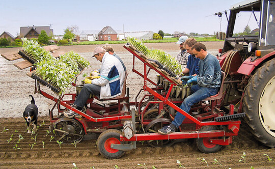 Diese Pflanzmaschine ermglicht gesundes Arbeiten: Die Sitze sind gepolstert und haben eine Rckenlehne. Die Sitzposition ist verstellbar. Es gibt Fusttzen und das Pflanzmaterial ist leicht erreichbar.  