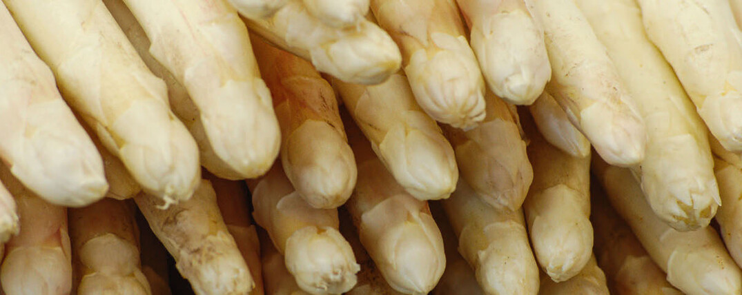 Spargel