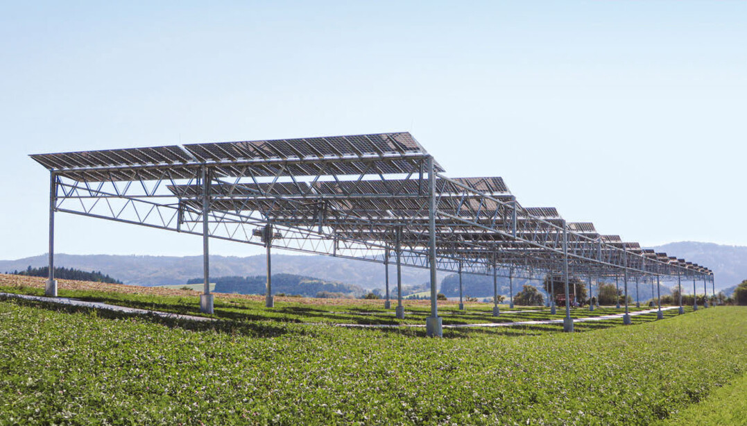 Über dem Feld ist auf 2500 m² eine Leistung von rund 194 kWp installiert.