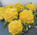 Romanesco-Blumenkohl ‘Amoresco’.