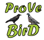 ProVeBirD