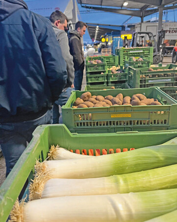Auch der Nürnberger Großmarkt wurdevon den Jungmarktgärtnern ausführlichbegutachtet. Auffällig waren hier dieeinheitlichen Kisten für die heimische Ware.