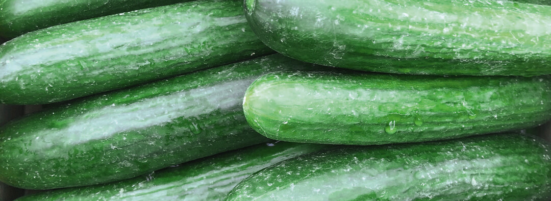 Salatgurke