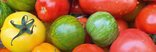 Tomaten