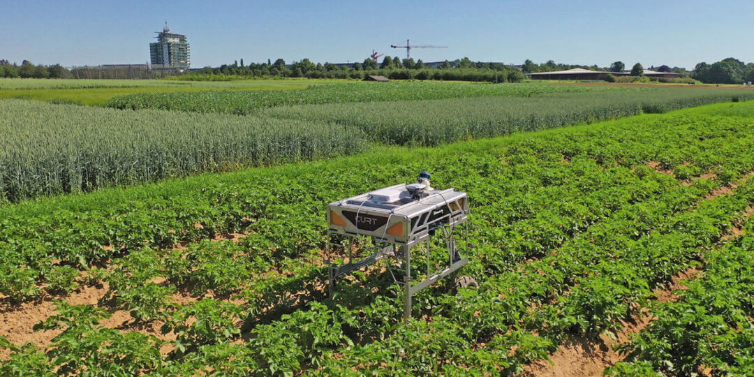CURTdiff kann Pflanzreihen autonom erkennen, abfahren und zur Beikrautregulierung eingesetzt werden.