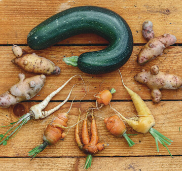 Die Natur interessiert sich nicht fr Vermarktungsnormen. Krummes Gemse kommt daher bei der Ernte immer wieder zutage.