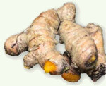 Gelber Ingwer wird in der Therapie von der Parkinson- Krankheit mit Erfolg eingesetzt; hier das Rhizom.