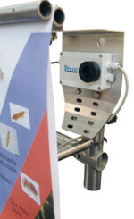 Mit iScout werden die Veränderungen auf den Fangtafeln messbar.