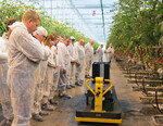 Noch ruft fahrerloser Transport im Gewächshaus Erstaunen hervor.