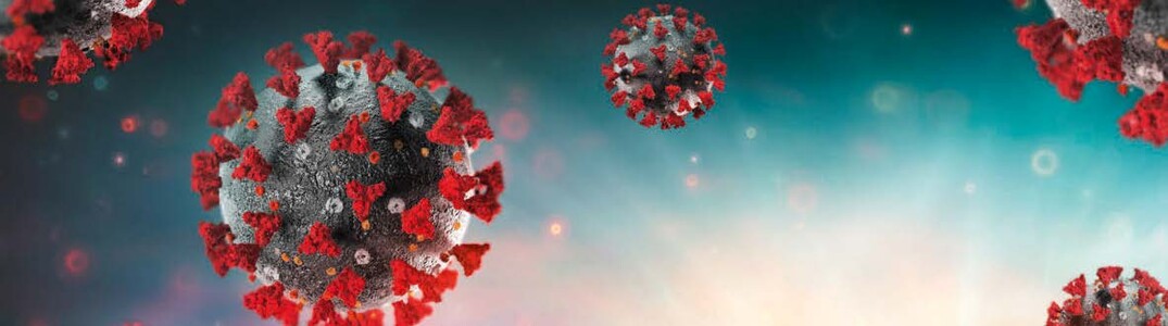 Das Corona- Virus. Die von ihm ausgelöste Pandemie hält auch die Gemüsebauer in Atem.
