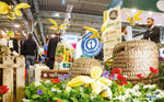 Die IPM Summer Edition erlaubt endlich wieder einen Branchentreff in der Messe Essen.