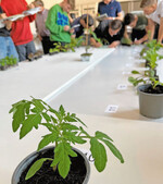 Übung macht den Meister: Die Pflanzenbestimmung ist Teil der Prüfung.