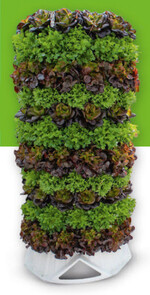 Neben der Hydroponik lernten die Azubis mit dem Vertical Farming einen neuen Trend kennen.