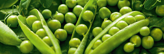 Erbsen