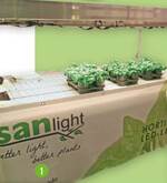 Sanlight zeigte den Einfluss des LED-Spektrums auf Basilikum.