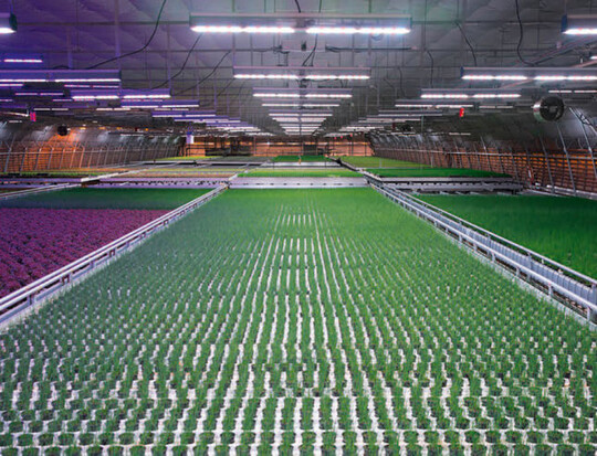 Osram-LED-Leuchten im Einsatz in Nordschweden.