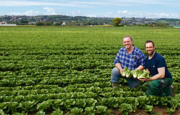 Dieses Mini-Romana-Feld ist typisch gelegen im drflich umrandeten Rheinischen Vorgebirge mit 95 % bewsserungsfhigen Flchen.