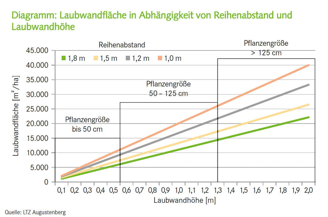 Diagramm: Laubwandfläche in Abhängigkeit von Reihenabstand und Laubwandhöhe