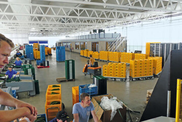 Das Prunkstck in der Packhalle ist die Sortiermaschine der Firma Aweta.