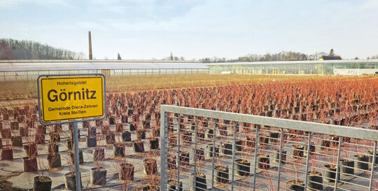 Michael Görnitz produziert im konventionellen Teilbetrieb von Bioobst Coswig am Standort Nieschütz im Freiland und im geschützten Anbau Beerenobst.