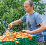 Pius Christ vermarktet Gemüse mit Schönheitsfehlern über Facebook.