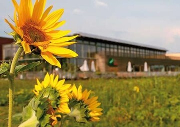 Der Biohof Achleitner hat sich von einem Gemsebaubetrieb zu einem
weltweit exportierenden Vermarktungsunternehmen entwickelt.