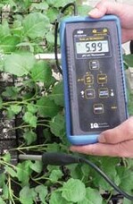 Unzerbrechlich und wartungsfrei
ist das neue pH-Meter, hier
Version IQ 150.