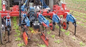 Kress stellte diese neue Hacktechnik vor: Ein Hackmesser an einem
lngeren Metallstab schwingt Kamera-gelenkt quer zur Fahrtrichtung
und erfasst Unkruter zwischen und in der Pflanzreihe.