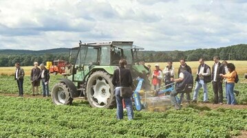 Einsatz der Reihenhackbürste in Zitronenmelisse im zweiten Standjahr am Feldtag in Klein-Altendorf