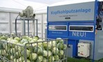 Die Nosma-Kopfkohlputzanlage wurde am Freilandgemüse-
Demo-Tag bei Syngenta präsentiert.