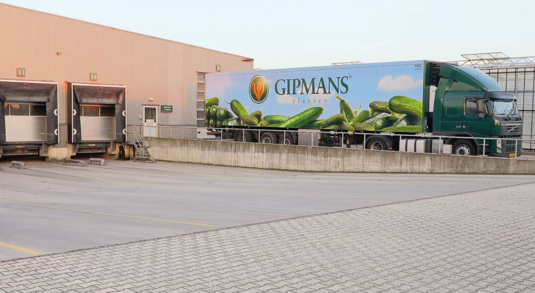 Mitglieder der Gemüse-Selbstvermarkter e.V. besichtigten das Unternehmen Gipmans, das viele deutsche Gemüsebaubetriebe mit Jungpflanzen beliefert.