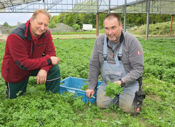 Drei feste Arbeitskrfte managen diesen Betrieb: Katja Schecker (nicht im Bild), Rainer Schecker (l.) und Mitarbeiter Peter Gatzke (r.). Steinmetze aus Carrara sollen der berlieferung nach die Kruter fr Grne Soe auf Handelswegen nach Frankfurt gebracht haben.