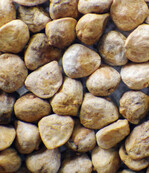 Die rundlichen Spinat-Samenform ist heute Standard.