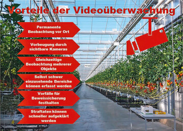 Vorteile einer Videoberwachung im Gewchshaus 