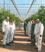 Auch und gerade im Bio-Anbau herrschen strenge Hygienestandards (v. l.): Rainer Carstens, Tim Große Lengerich, Bernd Querdel, Patrick Schwienheer, Andreas Querdel, Rudolf Dworschak.