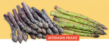 links: Bejo mchte Spargel Erasmus bekannter machen. rechts: Mit Canticus zeigt Bejo einen neuen anthocyanhaltigen Grnspargel.