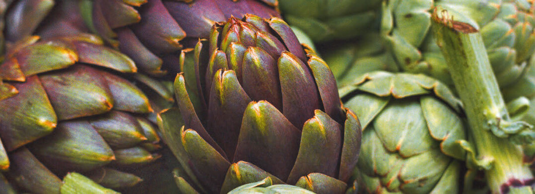 © Friedberg – stock.adobe.com