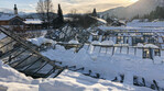 Heftige Schneefälle ließen in Bayern Mitte Januar zahlreiche Gewächshäuser infolge der hohen Schneelast zusammenbrechen.