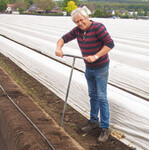 Chris van Laarhoven nimmt regelmäßig Proben, um den Wurzelgehalt im Boden zu bestimmen.