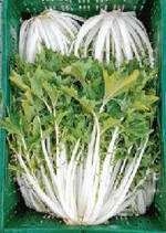 Das Rübstielchen ist eine rheinländische Spezialität.