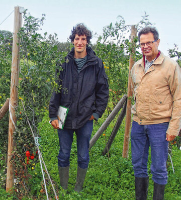Moritz Halekotte (l.) und Ernst Benary, der Culinaris im Vertrieb untersttzt, zeigten einen Freilandanbauversuch mit nahezu fertig selektierten Tomaten-Neuheiten fr den Anbau in hiesigen Breiten. Die Pflanzen wurden Mitte Mai aus dem 11-cm-Topf in das Freiland in den gewachsenen Boden gepflanzt, weder bewssert noch gedngt und hielten einem Hagelschaden groteils Stand. 