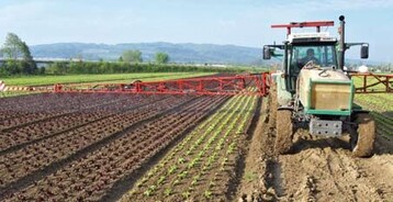 24 m-Standard-Feldspritzbalken bei der Applikation einer Fungizid-
Insektizid-Tankmischung auf Salatstze zwlf Tage nach der Pflanzung.