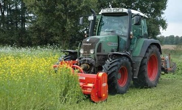 Mulchen der fr die Biofumigation angebauten Pflanzenart, hier Senf