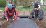 1a + b Maschinelles und manuelles
Verlegen von Mulchfolien